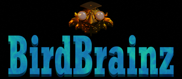 Bird Brainz Software